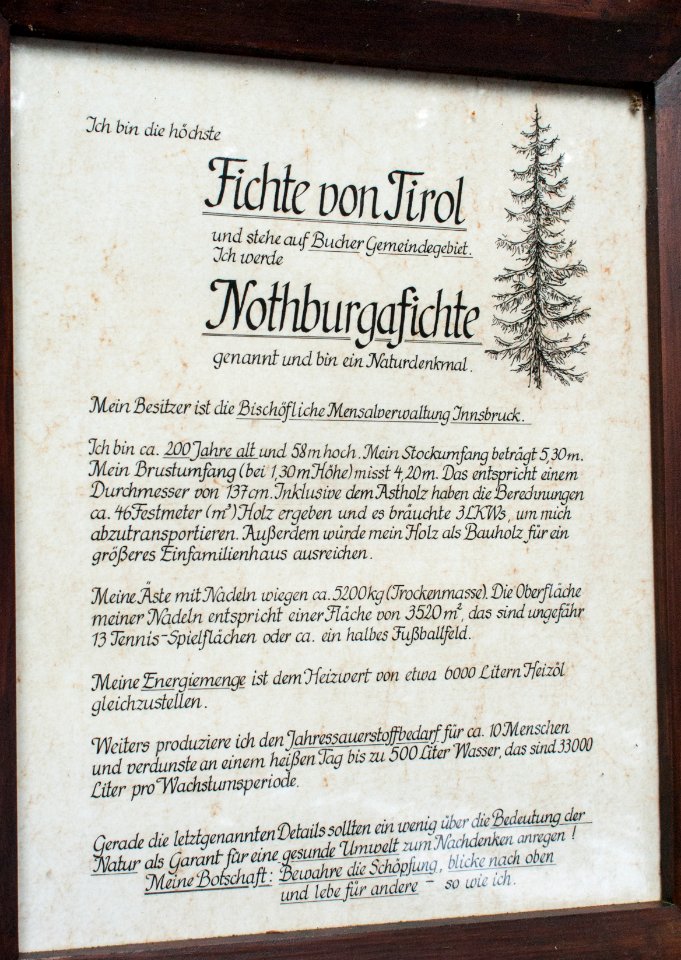Erklärungstafel bei der Notburgafichte