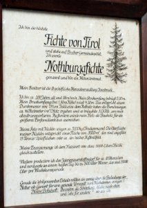 Erklärungstafel bei der Notburgafichte