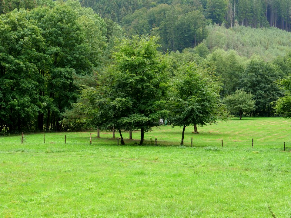 Erkensruhr valley in September 2019 04