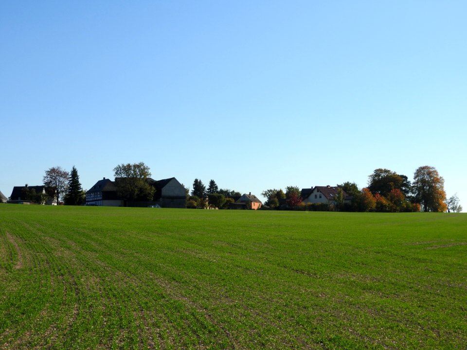Erbengrün 1