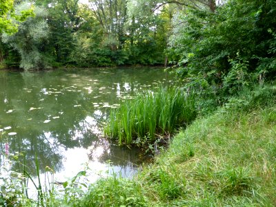 Erlachsee-3