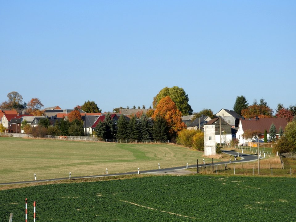 Erbengrün 7