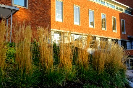 Erb Memorial Union - University of Oregon - Eugene, Oregon - DSC09651