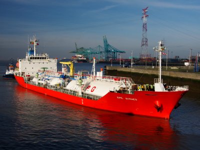Epic Borneo (ship, 2010) IMO 9519535 Berendrechtlock Port of Antwerp pic4