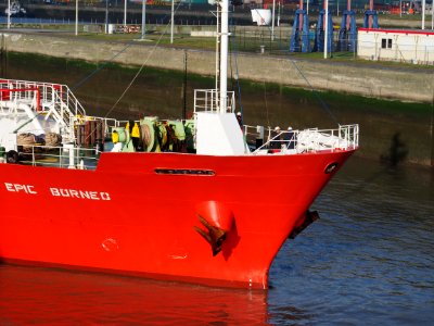 Epic Borneo (ship, 2010) IMO 9519535 Berendrechtlock Port of Antwerp pic3
