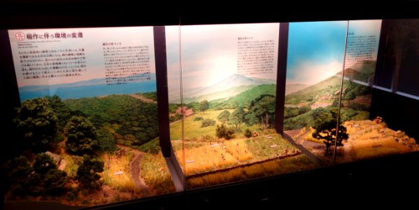 Environmental Changes Associated with Rice Cultivation - National Museum of Nature and Science, Tokyo - DSC07148