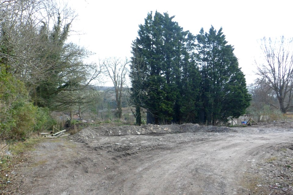 Environs of the Stanmer Estate, Stanmer Park, near Brighton (April 2013) (3)
