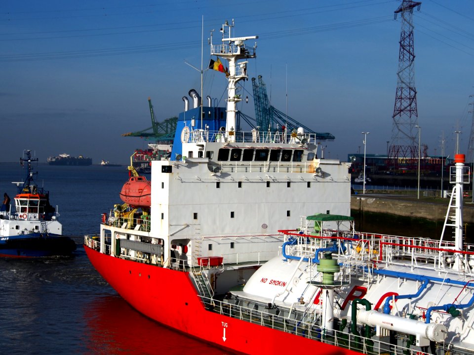 Epic Borneo (ship, 2010) IMO 9519535 Berendrechtlock Port of Antwerp pic5