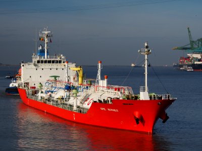 Epic Borneo (ship, 2010) IMO 9519535 Berendrechtlock Port of Antwerp pic2