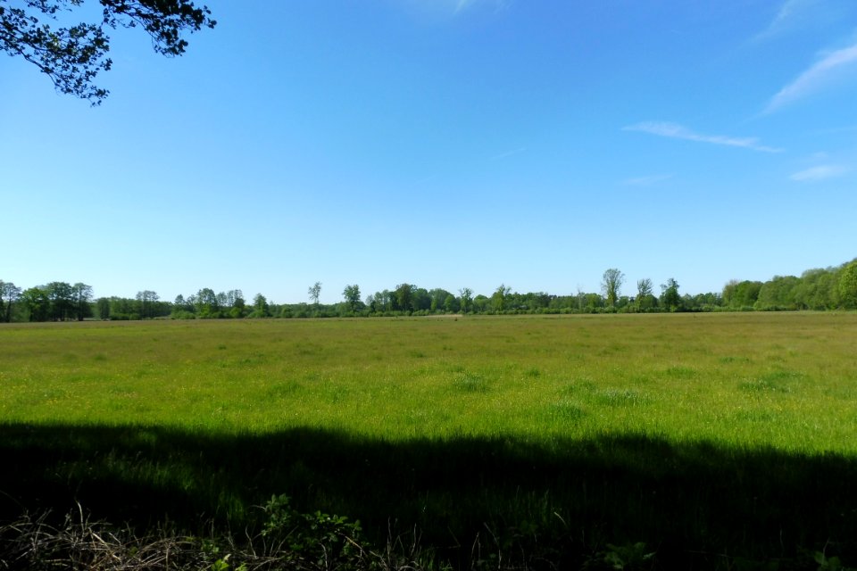 Erdgarten-Lauerwiesen - 16