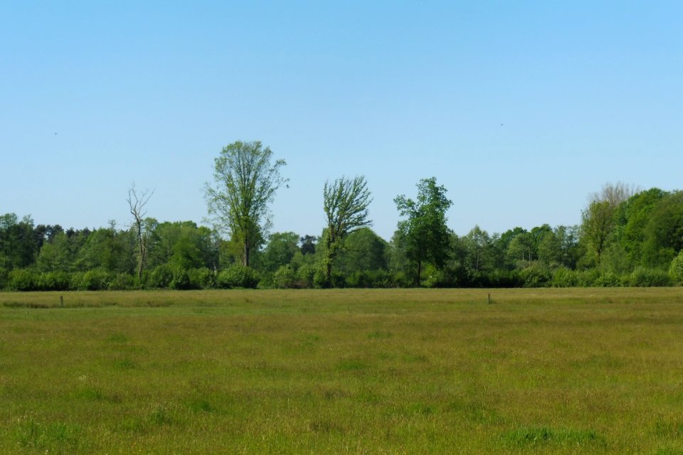 Erdgarten-Lauerwiesen - 19