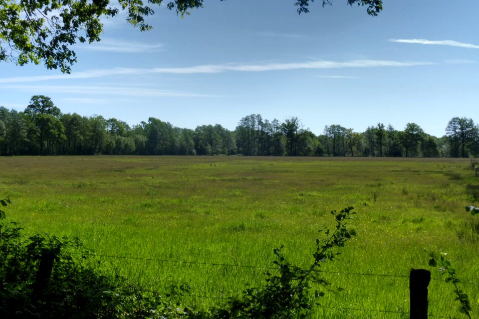 Erdgarten-Lauerwiesen - 13
