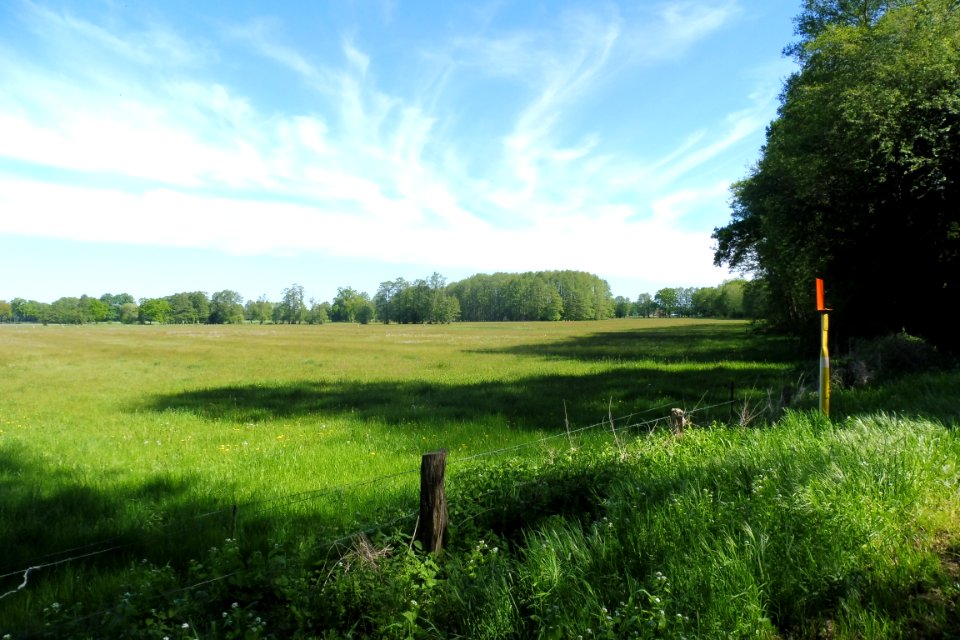 Erdgarten-Lauerwiesen - 11