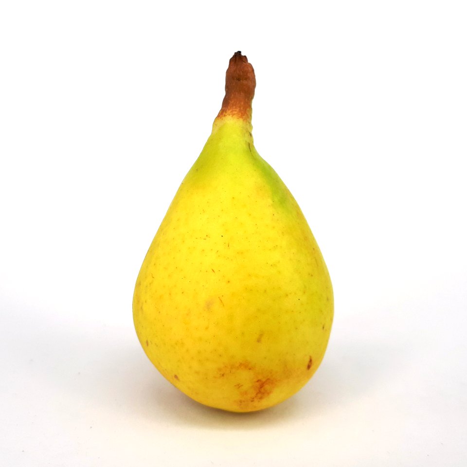 Ercolina pear 2017 C