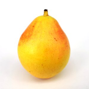 Ercolina pear 2017 A1