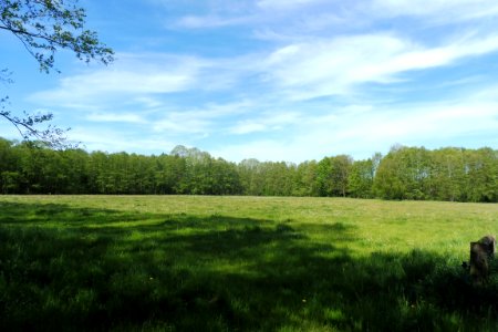 Erdgarten-Lauerwiesen - 23