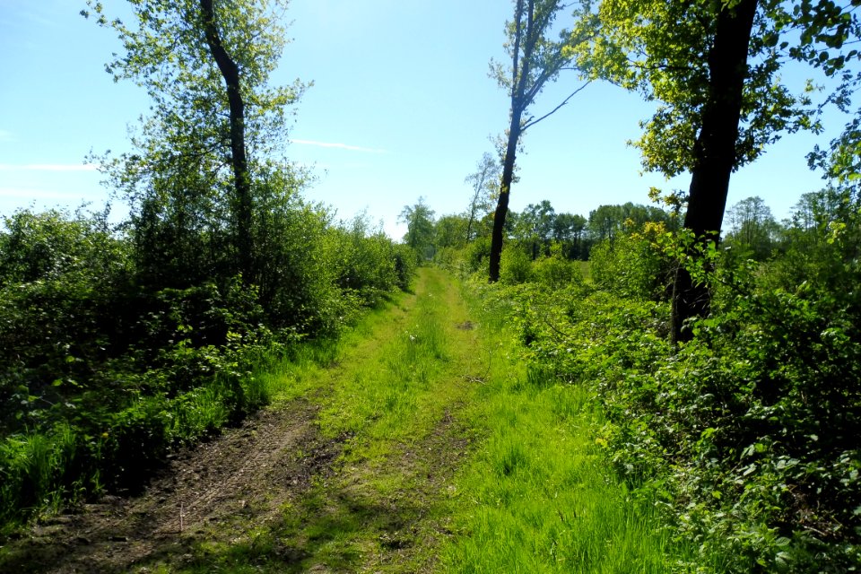 Erdgarten-Lauerwiesen - 9