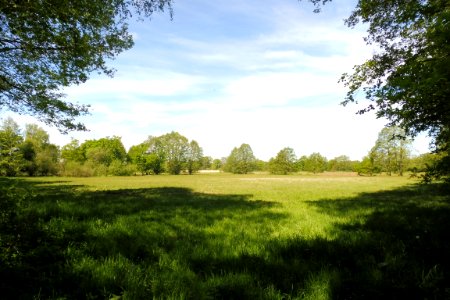 Erdgarten-Lauerwiesen - 21