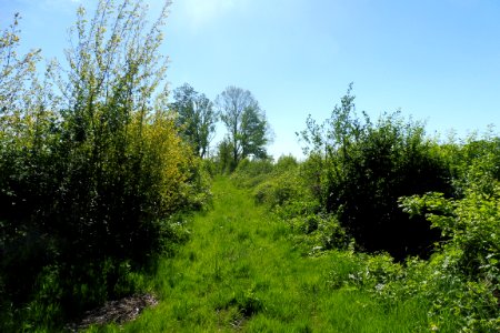 Erdgarten-Lauerwiesen - 6