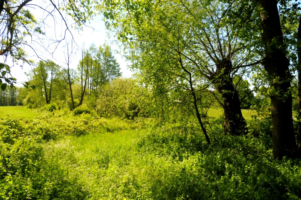 Erdgarten-Lauerwiesen - 12