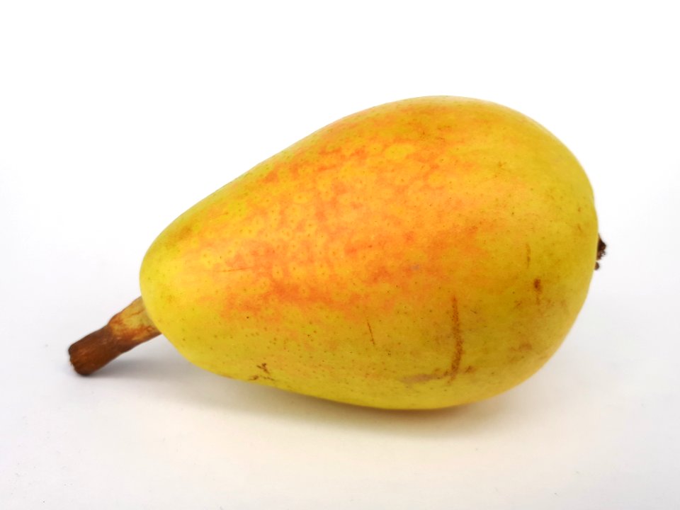 Ercolina pear 2017 B