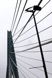 Erasmus Bridge (26116891) photo