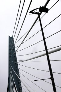 Erasmus Bridge (26116891)