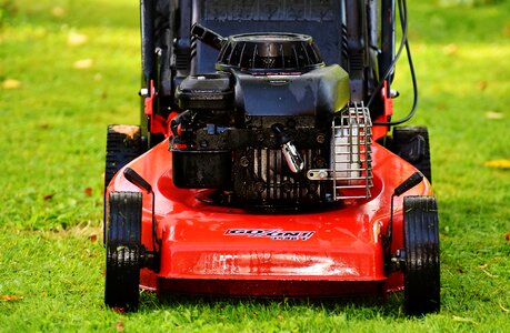 Cut grass grass surface garden photo