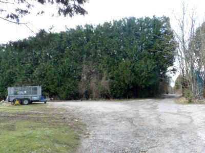 Environs of the Stanmer Estate, Stanmer Park, near Brighton (April 2013) (8)
