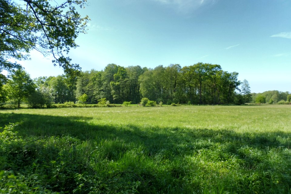 Erdgarten-Lauerwiesen - 20