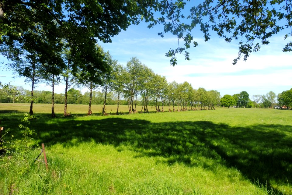 Erdgarten-Lauerwiesen - 1