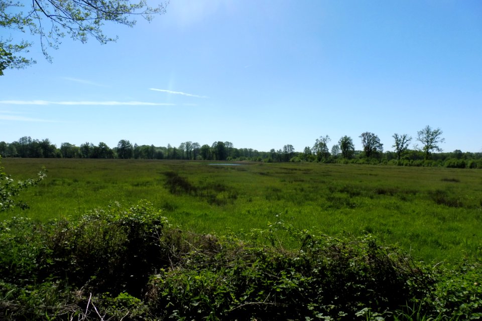 Erdgarten-Lauerwiesen - 4