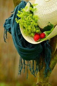 Scarf strawberries frauenmantel
