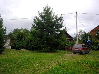 Eremeevo Istra 9