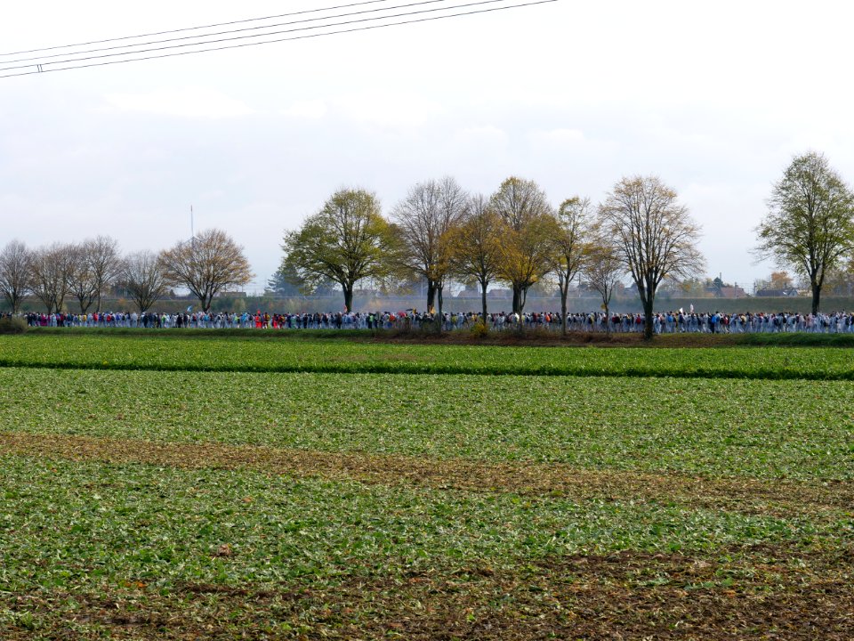 Ende Gelände November 2017 - Fingers splitting of at demonstration