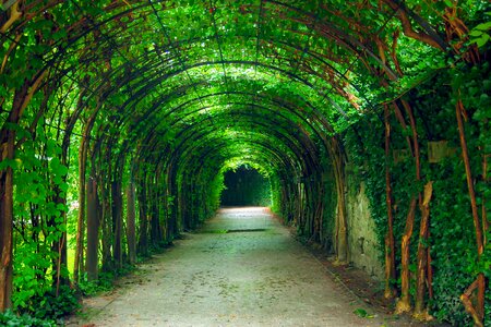 Natural garden salzburg