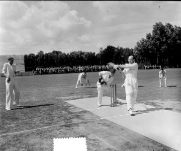Engelse en Australische cricketwedstrijden HCC-terrein Den Haag, Bestanddeelnr 905-8406