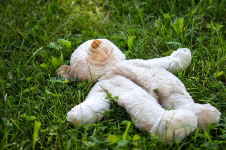 Plush purry meadow