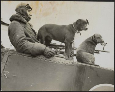 Engelsche luchtmacht in Frankrijk gedurende Duitsche aanval. Eenige van de masco, Bestanddeelnr 158-2713