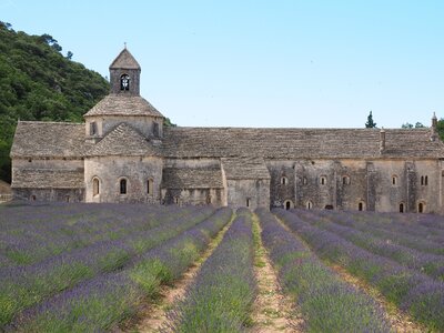 Notre dame de sénanque the order of cistercians gordes photo