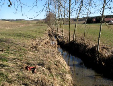Ende des begradigten Abschnitts am Nesselbach oberhalb der Feldwegbrücke am Tiefen Weg