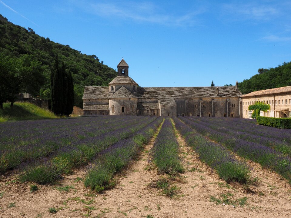 Notre dame de sénanque the order of cistercians gordes