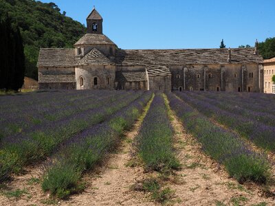 Notre dame de sénanque the order of cistercians gordes photo