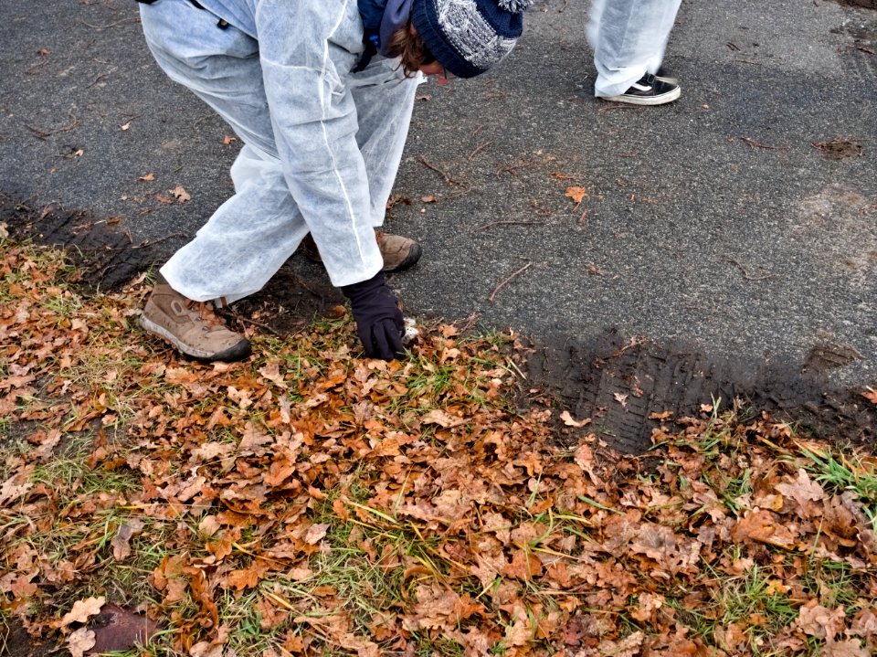 Ende Gelände November 2019 demonstration Koppatzer Straße 57
