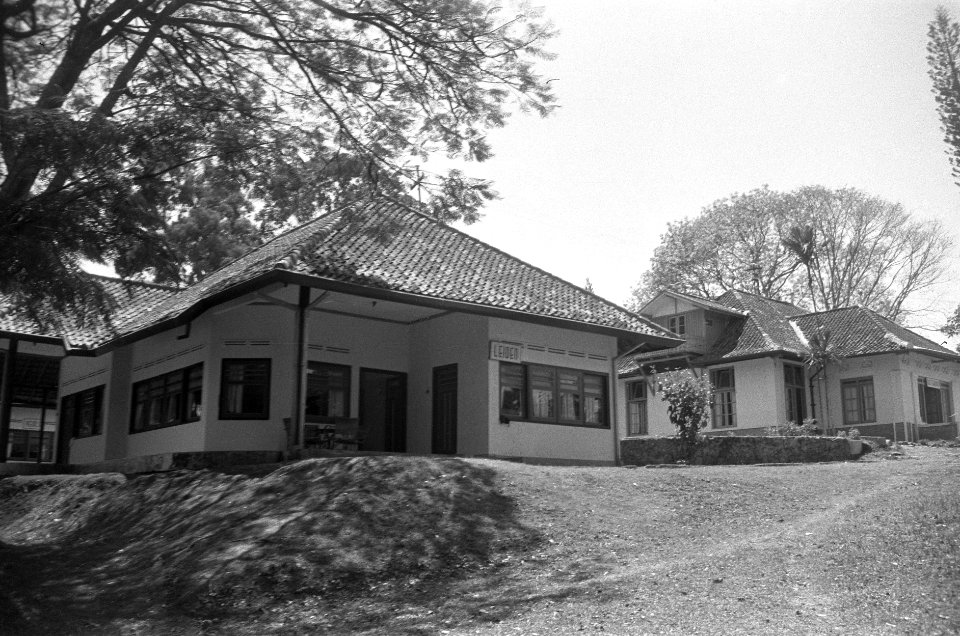 Enkele paviljoens, op een staat 'Leiden', Bestanddeelnr 546