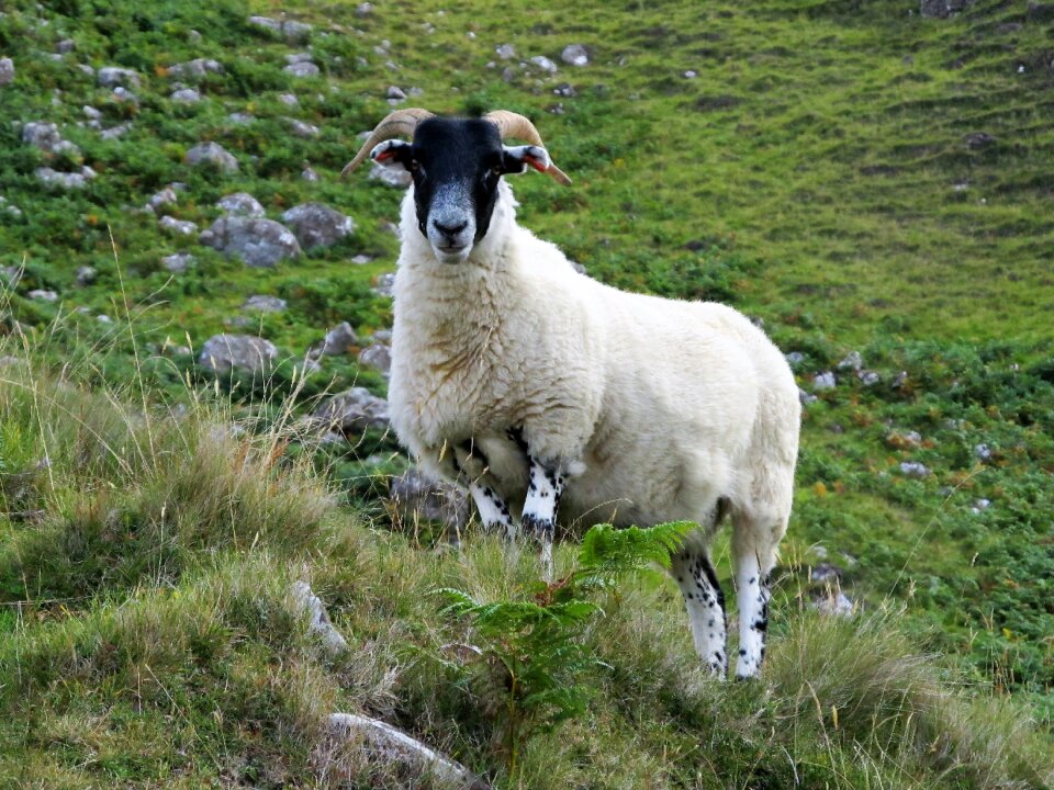 Scotland highlands and islands england