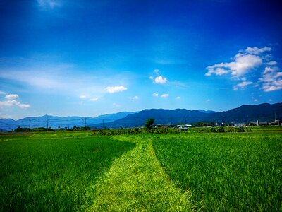 Countryside summer fine weather photo