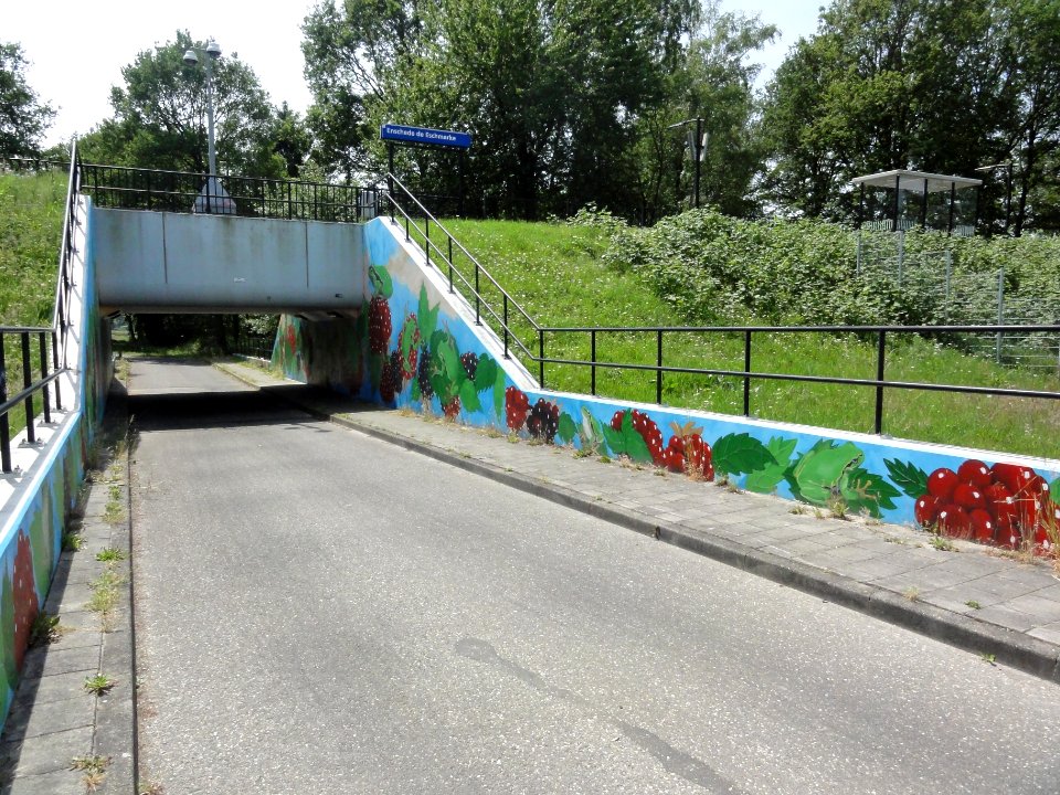 Enschede, station Enschede de Eschmarke, tunnel vanaf De Slank