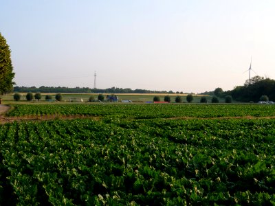 Ende Gelände Red Finger on a field near Keyenberg in the morning 22-06-2019 01