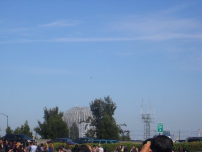 Endeavour escorts 1255